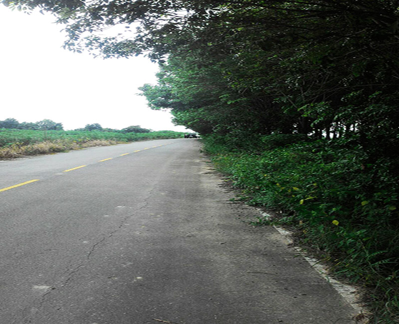 ขายที่ดิน เมืองระยอง ระยอง