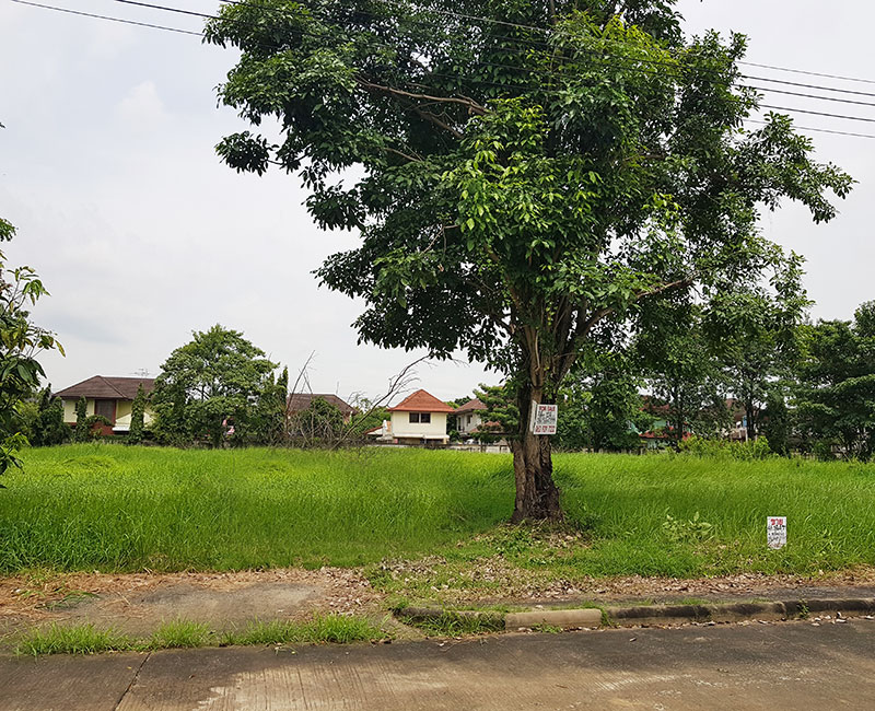 ขายที่ดิน ธัญบุรี ปทุมธานี