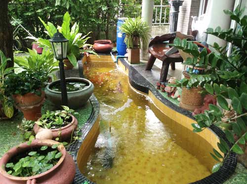 ขายบ้านเดี่ยว บางเขน กรุงเทพมหานคร