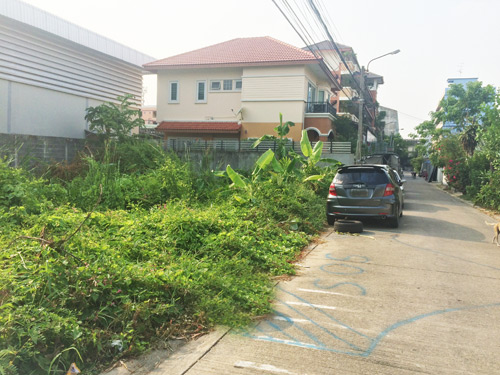 ขายที่ดิน ประเวศ กรุงเทพมหานคร