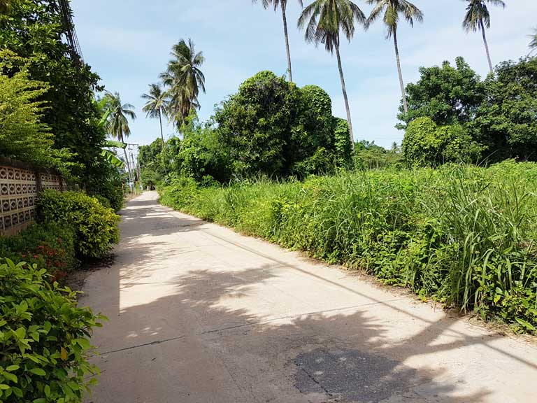 ขายที่ดิน เมืองพิษณุโลก พิษณุโลก