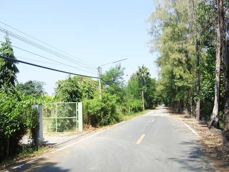 ขายที่ดิน หนองเสือ ปทุมธานี