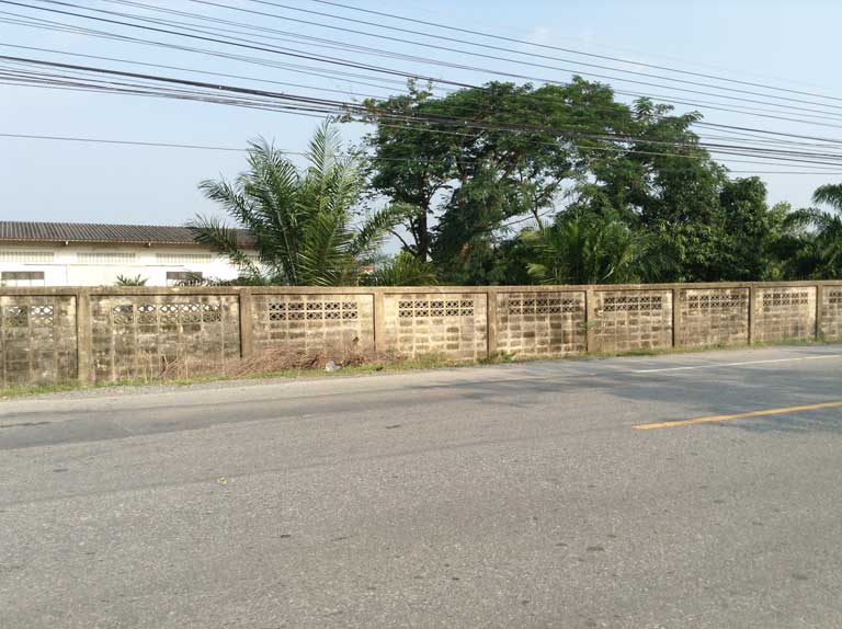 ขายที่ดิน หนองเสือ ปทุมธานี