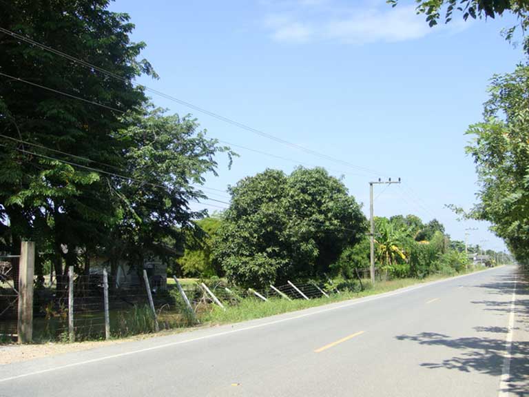 ขายที่ดิน หนองเสือ ปทุมธานี