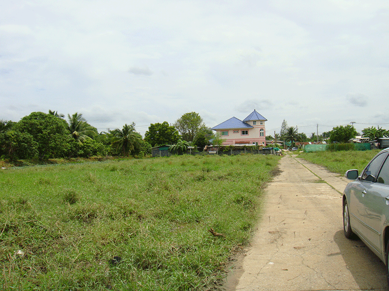 ขายที่ดิน บางบัวทอง นนทบุรี
